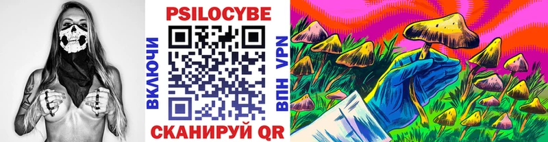 Галлюциногенные грибы Cubensis  Ликино-Дулёво 